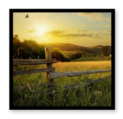 ttt26’’metal Square Advertising Monitor ttt